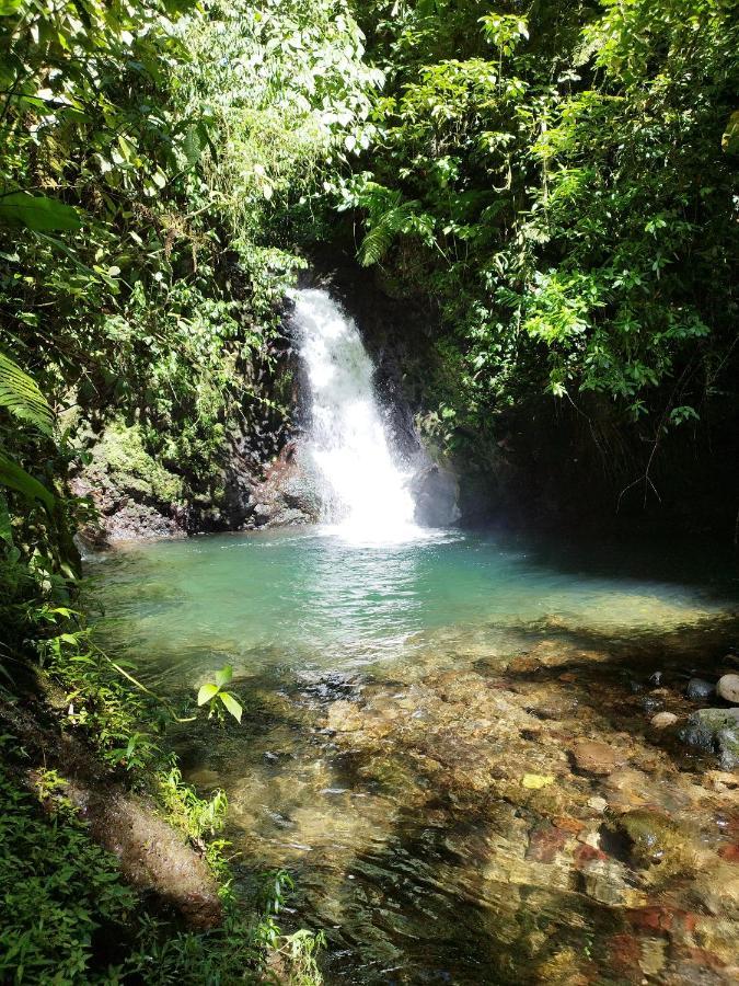 Pozas Y Cascadas La Presa Río Cuarto Exterior foto